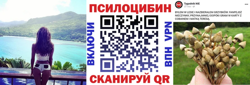 Галлюциногенные грибы мухоморы  где купить наркоту  Корсаков 